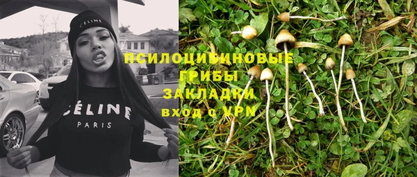 стафф Алексин