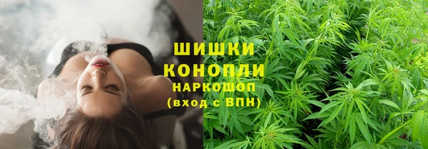 PSILOCYBIN Алзамай
