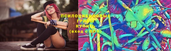стафф Алексин