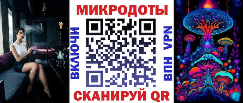Галлюциногенные грибы Psilocybe  Каневская 